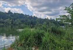 ������ �������� ������ �� ������� �������� �� ���. ������� ��, ����� 30 ����� ���� 1