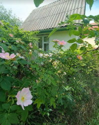 ������ �������� ������ ��������������������� �����������, ����� 5.2 ����� ���� 2