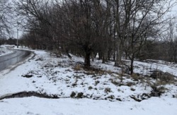 ������ �������� ������ ���� 6