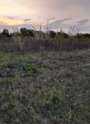 ������ ������ 10 ���. ���� 2