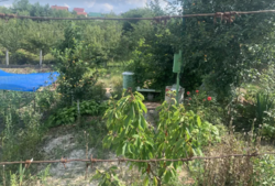 ������ �������� ������ ��������������������� �����������, �� �������, ����� 6 ����� ���� 2