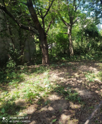 ������ �������� ������ �� ������� �������� �� 1-� ��. ���������, ����� 4.5 ����� ���� 1