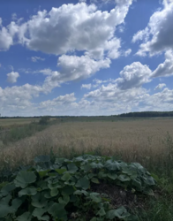 ������ �������� ������ �� ������� ��������, ����� 12 ����� ���� 3