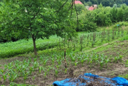 ������ �������� ������ ��������������������� �����������, �� ���. ������, ����� 7.8 ����� ���� 1