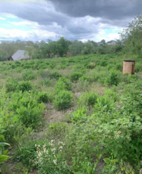 ������ �������� ������ �� ������� �������� �� ���. ����������, ����� 21.6 ����� ���� 3