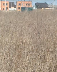 ������ �������� ������ �� ������� ��������, ����� 6 ����� ���� 2