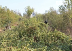 ������ �������� ������ �� ���. �������, ����� 6 ����� ���� 1