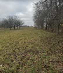 ������ �������� ������ �� ������� �������� �� ���. �����. ��� ������� ���� 1