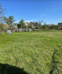 ������ �������� ������ �� ������� �������� �� ���. ���������, ����� 10 ����� ���� 1