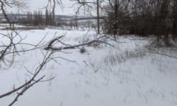 ������ �������� ������ ���� 6