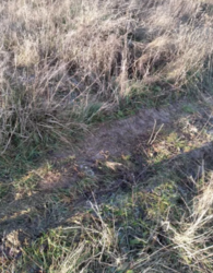 ������ �������� ������ �. ��������� ���� 2