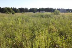 ������ �������� ������ �� ������� ��������, ����� 8 ����� ���� 4