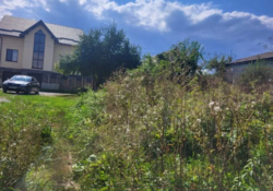 ������ ������ 6 �����! ���� 1