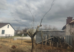 ������� ������ ������, ��������� ���� 7