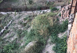 ������ �������� ������ �� ������� �������� �� ���. ������������, ����� 5 ����� ���� 1