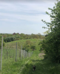 ������ �������� ������ ��������������������� �����������, �� 7-� ����. ������� ��������, ����� 6 ����� ���� 2