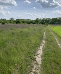 ������ �������� ������ ��������������������� �����������, �� ���. �������, ����� 6 ����� ���� 2