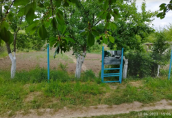 ������ �������� ������ ��������������������� �����������, ����� 12 ����� ���� 2