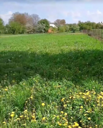 ������ �������� ������ ��������������������� �����������, �� ���. ������� �������������, ����� 0.0137 �� ���� 3