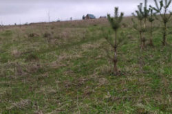 ������ �������� ������ ��������������������� �����������, ����� 9 ����� ���� 3