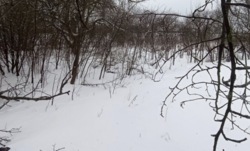 ������ �������� ������ ���� 7