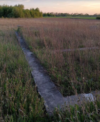 ������ �������� ������ ��������������������� �����������, �� ���. �������, ����� 8.5 ����� ���� 1