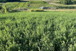 ������ �������� ������ �� ������� ��������, ����� 0.105 �� ���� 1