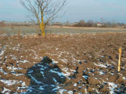 ������ �������� ������ ���� 2