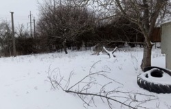 ������ �������� ������ ���� 9