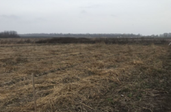 ������ �������� ������ ��������������������� ����������� �� ���. ���������, ����� 10 ����� ���� 1