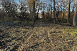 ������ �������� ������ �� ������� �������� �� ���. ������, ����� 8 ����� ���� 3