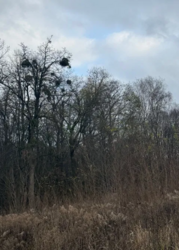 ������ �������� ������ �� ������� �������� �� ���. ���������� ���� 5