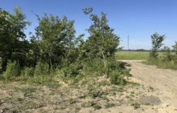 Продається ділянка пров. Гетьманський, Вінниця, Вінницька, Ленінський, Академічний фото 2 Продається ділянка пров. Гетьманський, Вінниця, Вінницька, Ленінський, Академічний фото 2