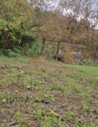 ������ �������� ������ ���� 6