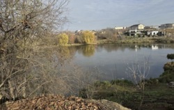 ������ �������� ������ ���� 1