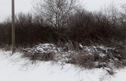 ������ �������� ������ ���� 8