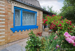 ������ �������� ������ ��������������������� �����������, ����� 12 ����� ���� 1