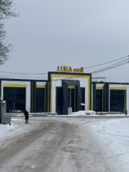 ������ �������� ������ �� ���������� ,����� ���� - ����������� ���� 5