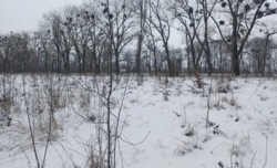 ������ �������� ������ ������������ �������� ���� 2