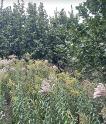     ,  10   2