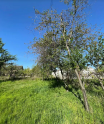 ������ �������� ������ �� ������� �������� �� ���. ���������, ����� 10 ����� ���� 5