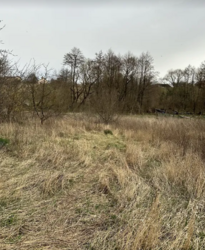 ������ �������� ������ �� ������� �������� �� ���. ��� �������, ����� 14 ����� ���� 2