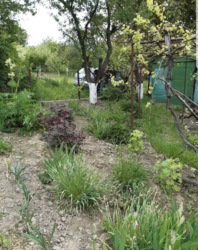 ������ ������ ���� 2