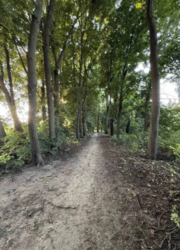 ������ �������� ������ ���� 2