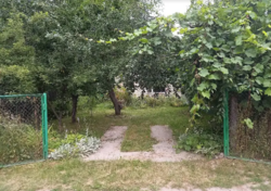         4-   ,  3   2