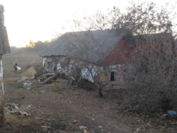 ������ ���� ����������� ������� � ������� 45 ����� �. �������� ���� 1