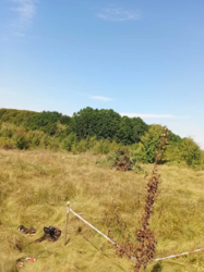 �������� ������ �� �������� ���� 1