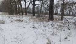 ������ �������� ������ ������������ �������� ���� 3