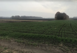 ������ �������� ������ ��������������������� ����������� �� ���. ���������, ����� 10 ����� ���� 2