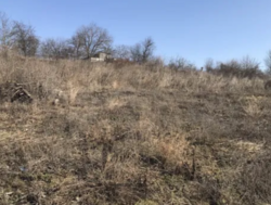 ������ ������ � ��������� ���� 1